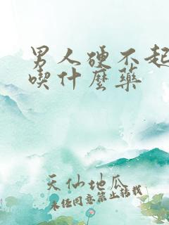 男人硬不起来该吃什么药