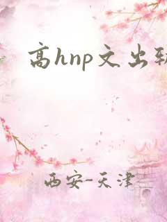 高hnp文出轨
