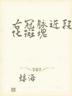 右冠脉近段非钙化斑块