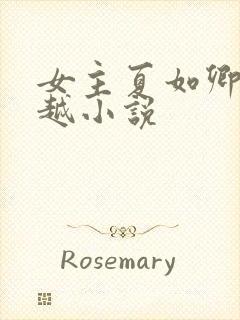 女主夏如卿的穿越小说