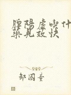 脾阳虚吃什么中药见效快