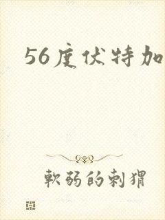 56度伏特加