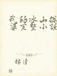 我的冰山总裁老婆完整小说