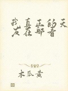 我真正的天才女友在哪看