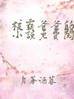 校霸爸爸的秘密小说免费阅读