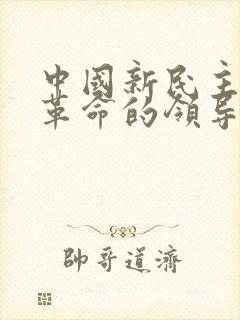 中国新民主主义革命的领导阶级