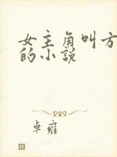 女主角叫方水晨的小说