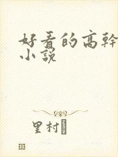 好看的高干宠文小说