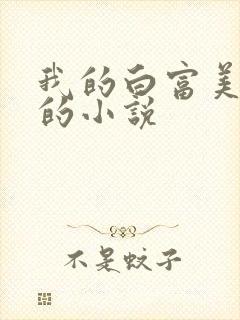 我的白富美老婆的小说