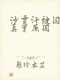 沙贾汗被囚禁的真实原因