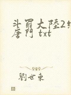 斗罗大陆2绝世唐门 txt