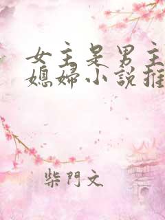 女主是男主的弟媳妇小说推荐