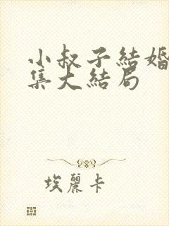 小叔子结婚了全集大结局