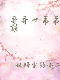 哥哥艹弟弟的小说