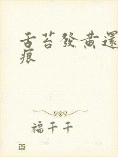 舌苔发黄还有齿痕