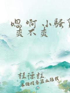 嗯 啊 小骚货 爽不爽