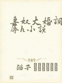 妻奴大婚调教屈辱h小说