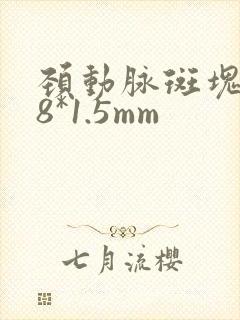 颈动脉斑块5.8*1.5mm