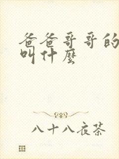 爸爸哥哥的老婆叫什么