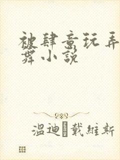 被肆意玩弄的小舞小说