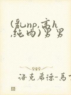 (乱np,高h,纯肉)男男