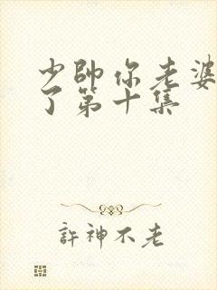 少帅你老婆又跑了第十集