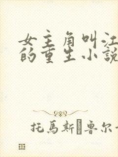 女主角叫江晚吟的重生小说