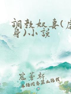 调教奴妻(虐女身)小说