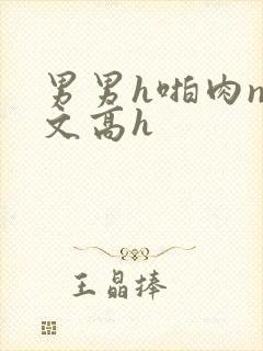 男男h啪肉np文高h