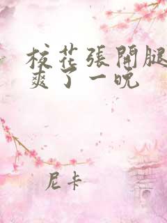 校花张开腿让我爽了一晚