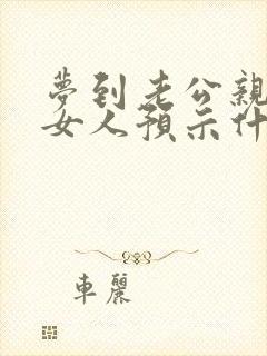 梦到老公亲别的女人预示什么