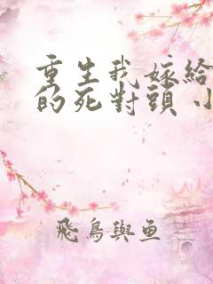 重生我嫁给渣男的死对头 小说