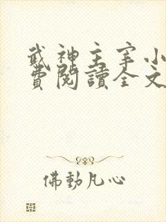 武神主宰小说免费阅读全文免