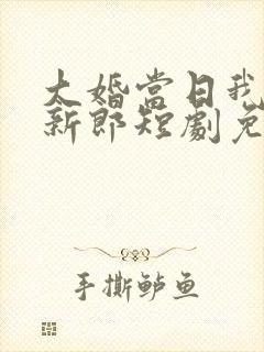 大婚当日我换了新郎短剧免费观看