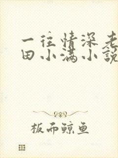 一往情深老田和田小满小说免费阅读