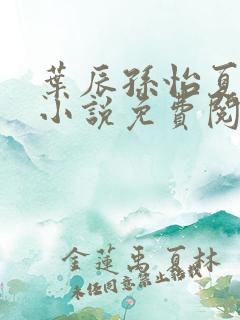 叶辰孙怡夏若雪小说免费阅读