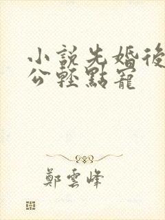 小说先婚后爱老公轻点宠