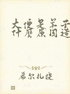 大便是羊子屎是什么原因造成的