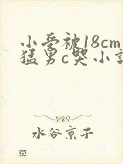 小受被18cm猛男c哭小说