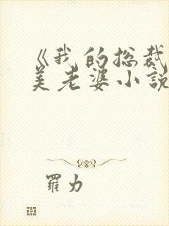 《我的总裁白富美老婆小说》