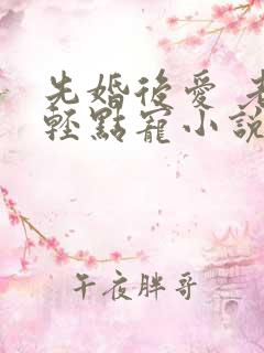 先婚后爱 老公轻点宠小说