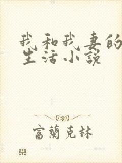 我和我妻的绿奴生活小说