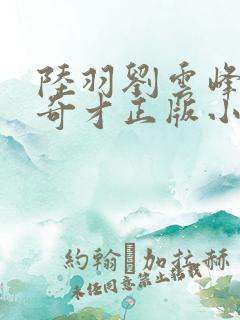 陆羽刘云峰鸿途奇才正版小说