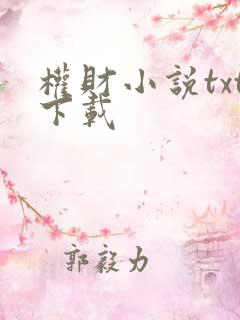 权财小说txt下载