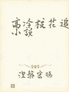 高冷校花追我的小说