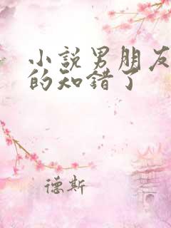 小说男朋友我真的知错了