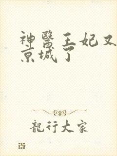 神医王妃又轰动京城了