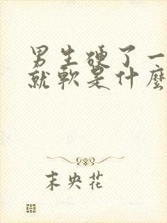 男生硬了一会儿就软是什么原因