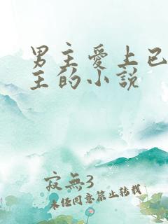 男主爱上已婚女主的小说