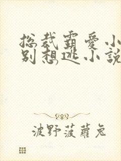 总裁霸爱小娇妻别想逃小说